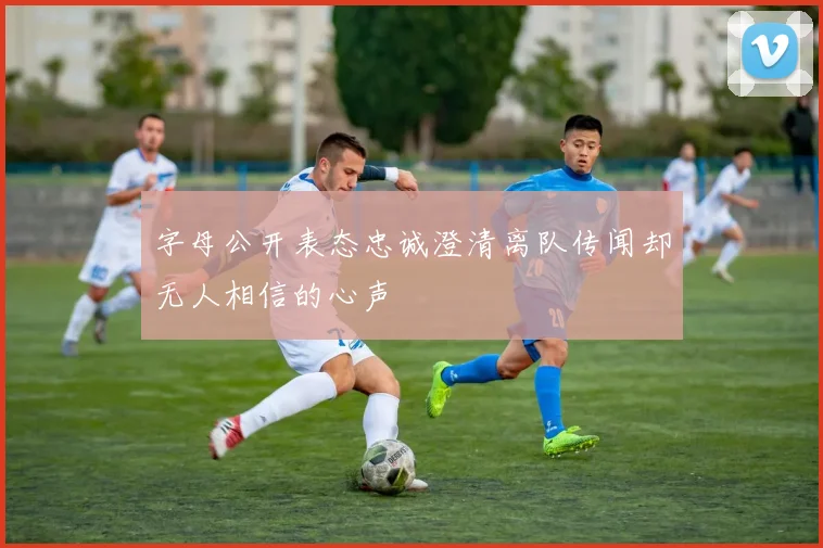 字母公开表态忠诚澄清离队传闻却无人相信的心声
