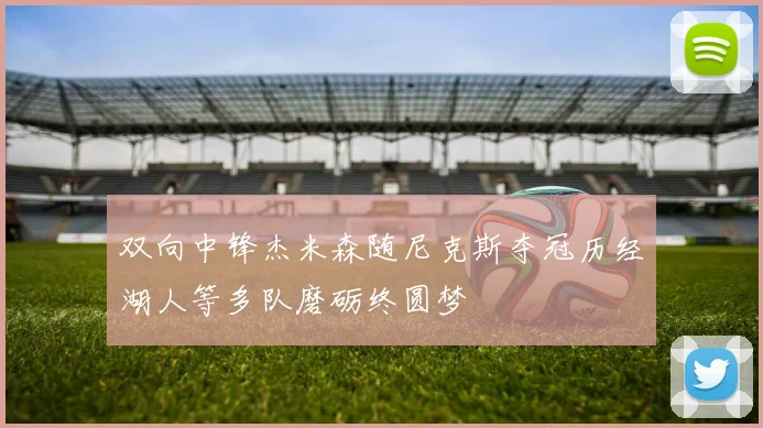 双向中锋杰米森随尼克斯夺冠历经湖人等多队磨砺终圆梦